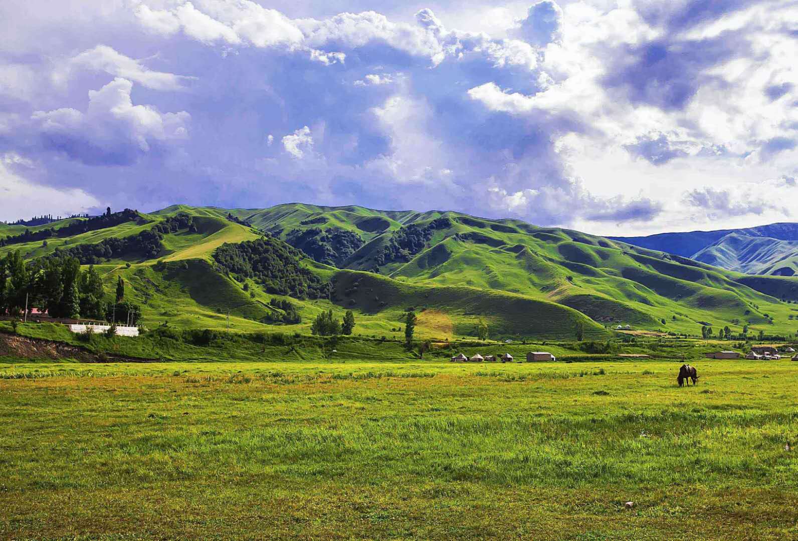 草原生態(tài)系統(tǒng)——草原生態(tài)系統(tǒng)的分布、特點